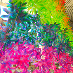 featured nsw state library